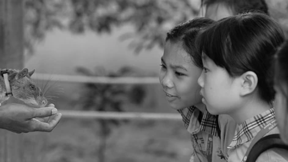 Fostering Education — The Most Sustainable Way to Reduce Danger