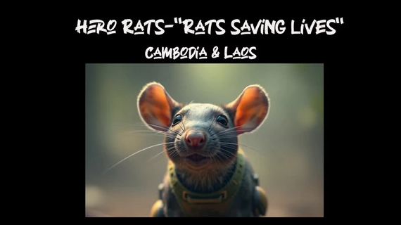 UXO in Laos — A Silent Danger Beneath the Soil