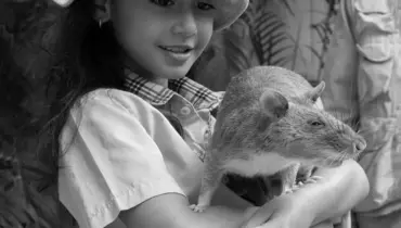 What Is DangerRat? — Motivation, Origins & Purpose