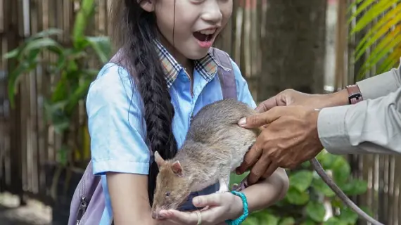 APOPO calls their rats “Hero Rats-rats that save lives”